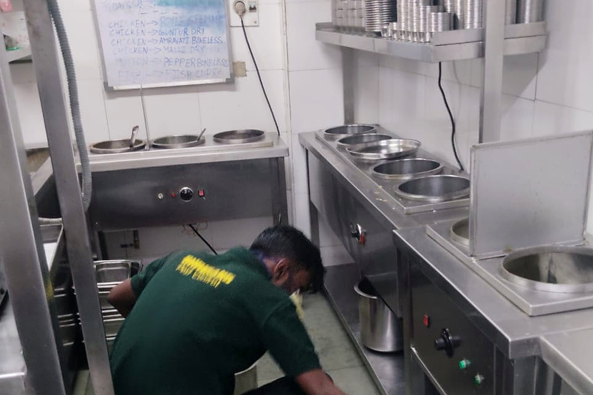 Food and Restaurant Pest Control